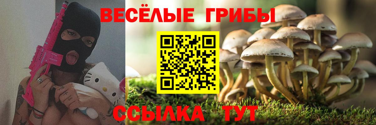 Галлюциногенные грибы GOLDEN TEACHER Усть-Джегута
